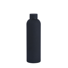 Insulated Stainless Steel Bottle