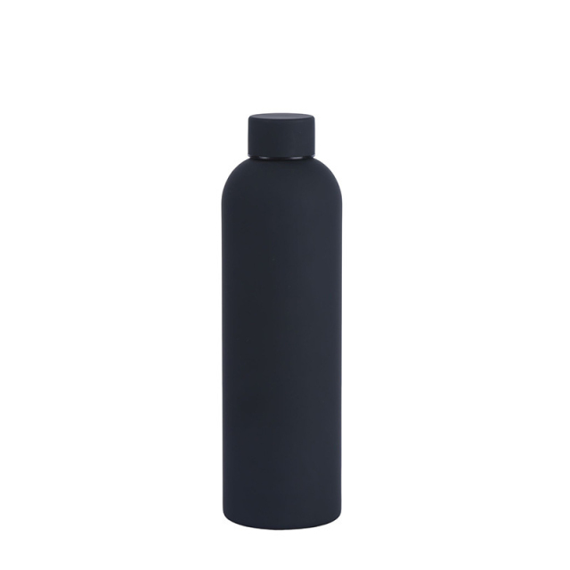 Insulated Stainless Steel Bottle