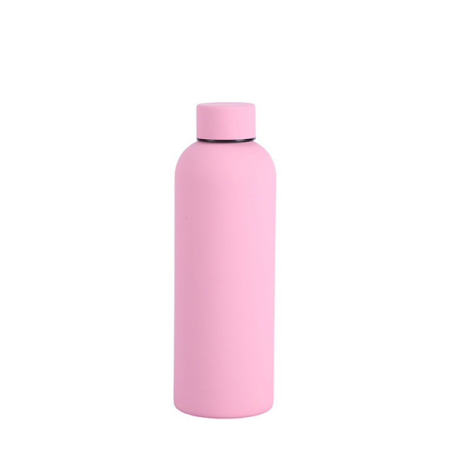 Insulated Stainless Steel Bottle