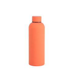 Insulated Stainless Steel Bottle