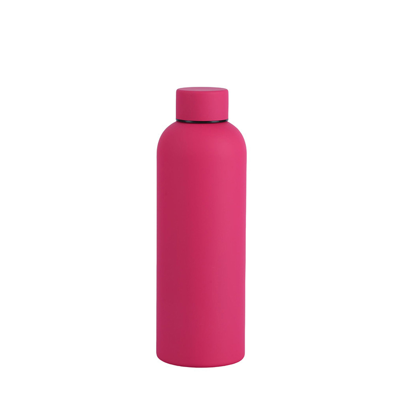 Insulated Stainless Steel Bottle