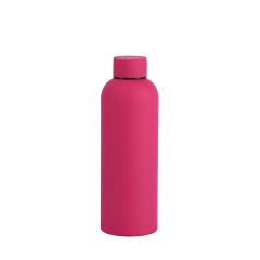 Insulated Stainless Steel Bottle