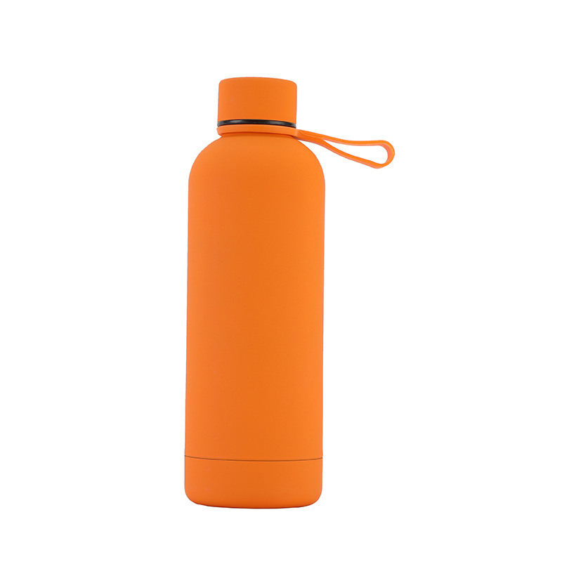 Insulated Drinking Water Bottle With Handle