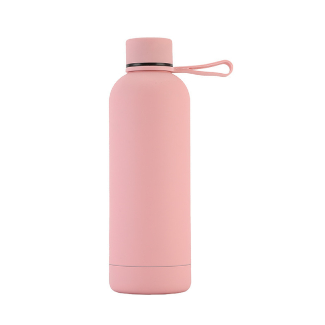 Insulated Drinking Water Bottle With Handle