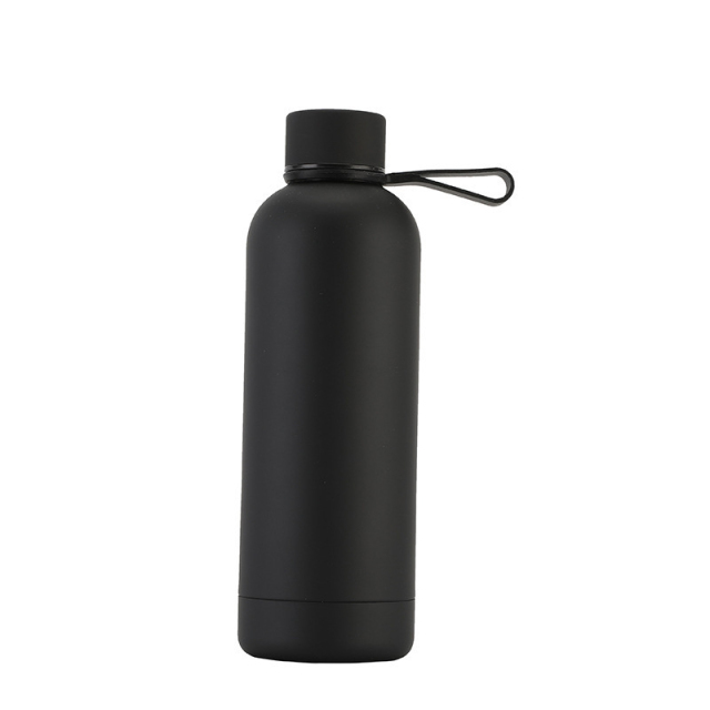 Insulated Drinking Water Bottle With Handle
