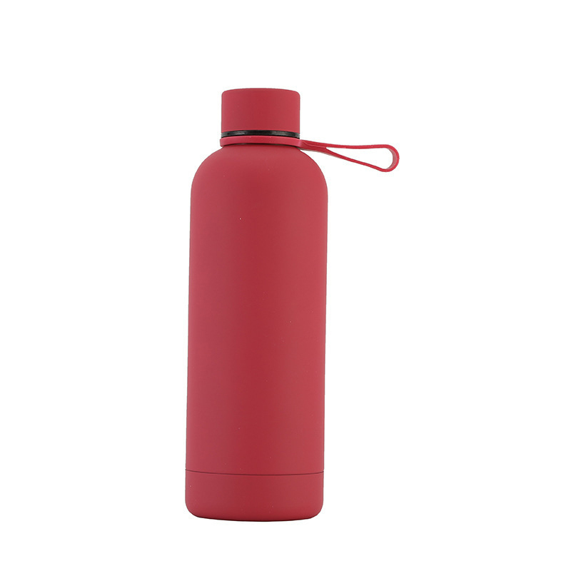 Insulated Drinking Water Bottle With Handle