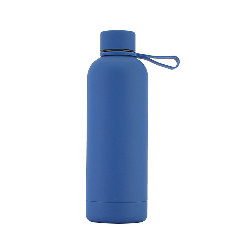 Insulated Drinking Water Bottle With Handle