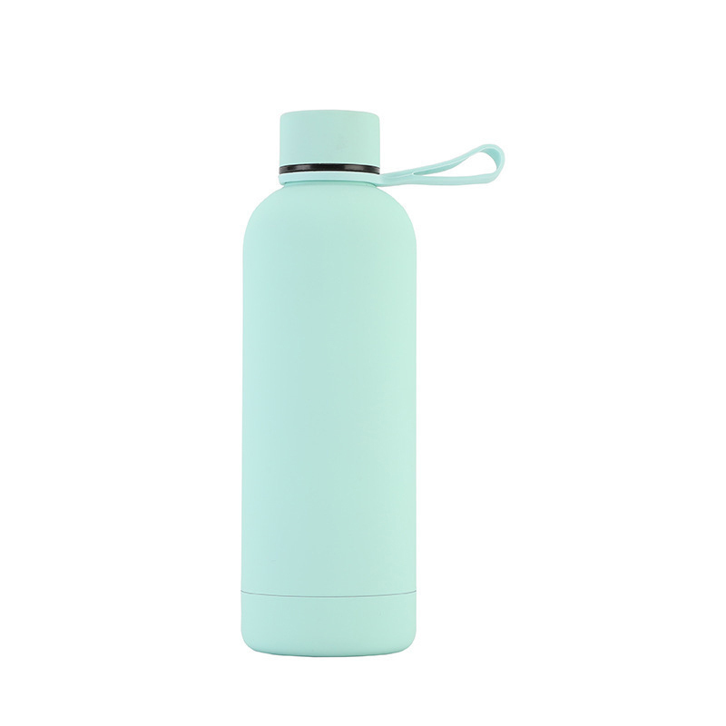 Insulated Drinking Water Bottle With Handle