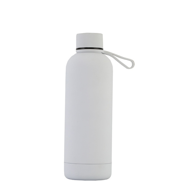 Insulated Drinking Water Bottle With Handle