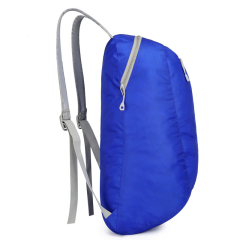 Lightweight Waterproof Backpack