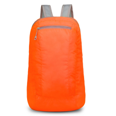 Lightweight Waterproof Backpack