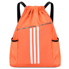 Basketball Storage Backpack