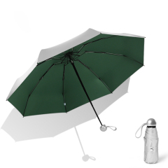 Mini Travel Sun Umbrella