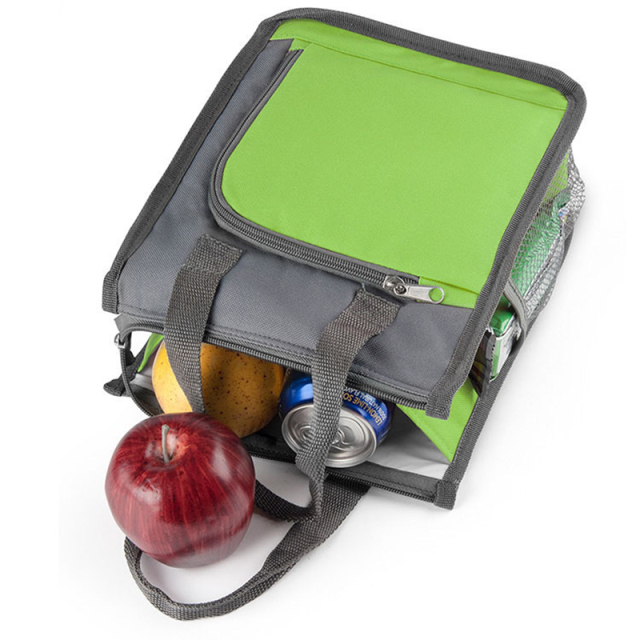 Portable Insulated Lunch Bag