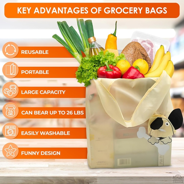 Reusable Collapsible  Grocery Bags