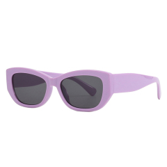 Trendy Rectangle Cat-eye Sunglasses for Women
