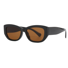 Trendy Rectangle Cat-eye Sunglasses for Women