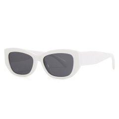 Trendy Rectangle Cat-eye Sunglasses for Women