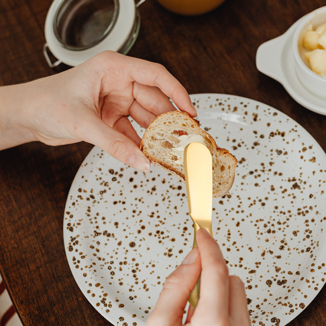 Stainless Steel Cheese Scraper