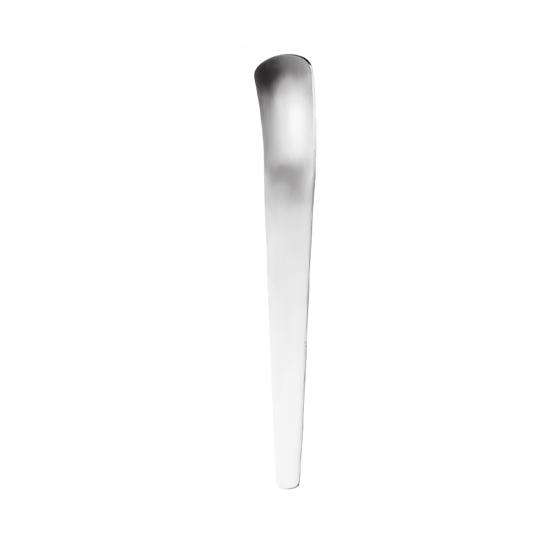 Stainless Steel Dessert Spoons