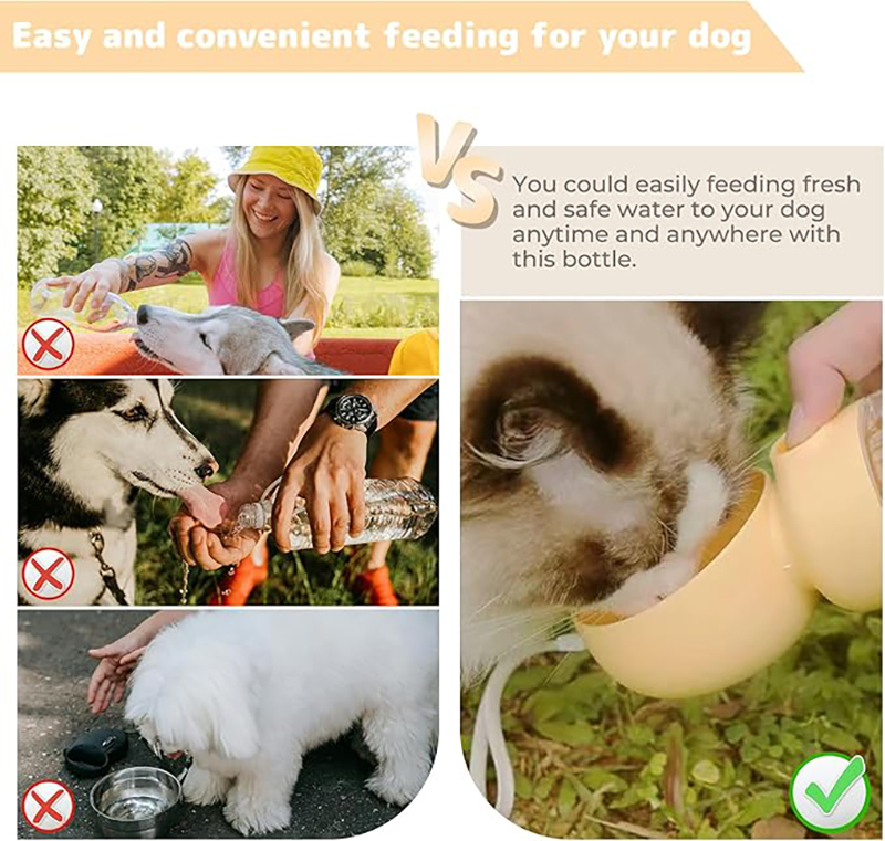 Dog Water Bottle With Food Container