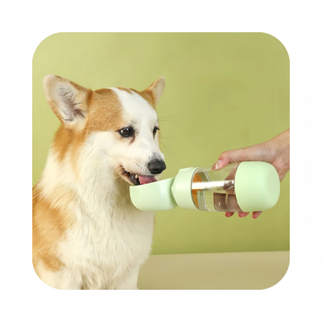 Dog Water Bottle With Food Container