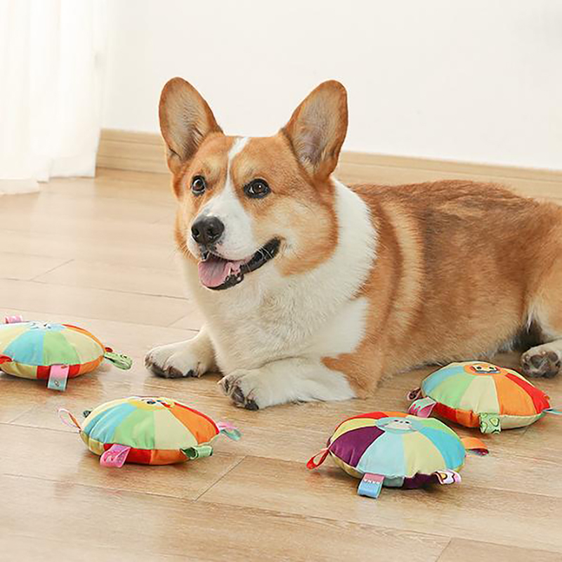 Dog Flying Discs Bubble Toys
