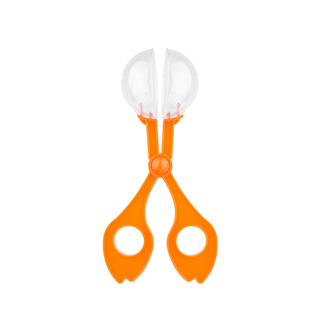 Outdoor Nature Exploration Capture Toy