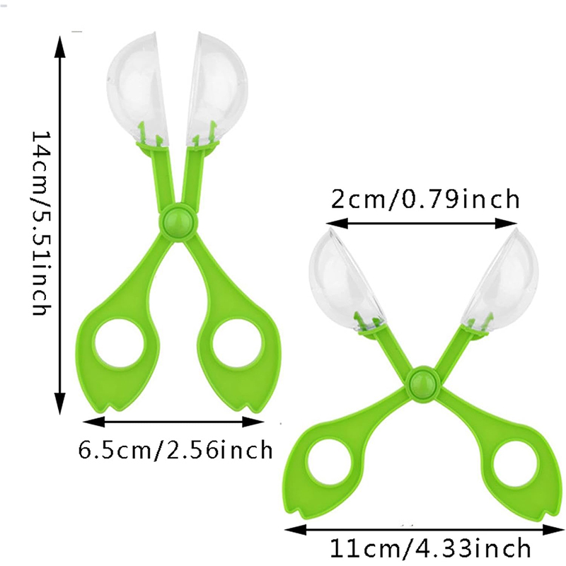 Outdoor Nature Exploration Capture Toy