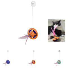 Shaped Spinning Top Cat Teaser