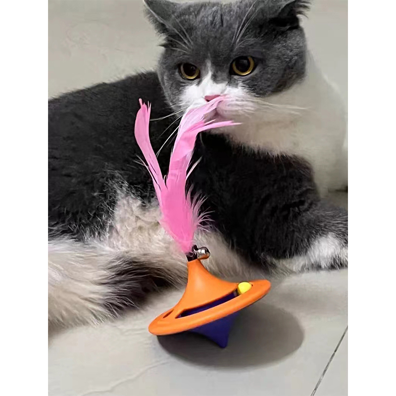 Shaped Spinning Top Cat Teaser