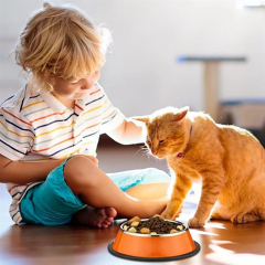 Small Stainless Steel Pet Bowls