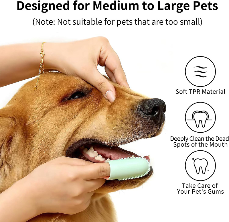 Toothbrush Dental Care for Pet
