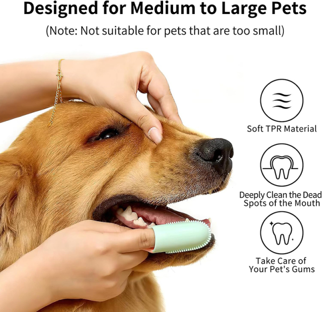 Toothbrush Dental Care for Pet