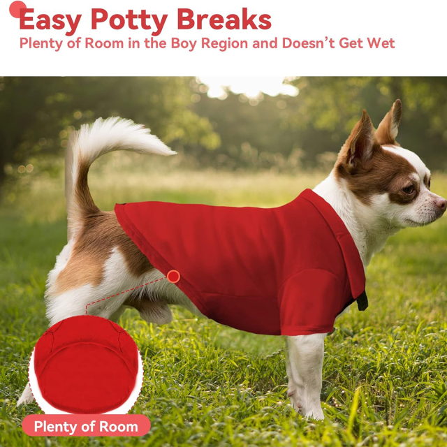 Collared Polo T-Shirts for Pet