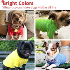 Collared Polo T-Shirts for Pet