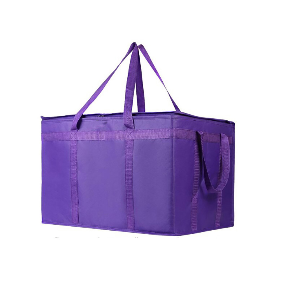 Insulated Food Bag