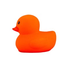 Colorful Rubber Duck Toy