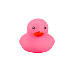Colorful Rubber Duck Toy