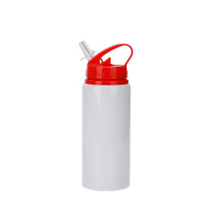 20 Oz Aluminum Sports Water Bottle With Straw