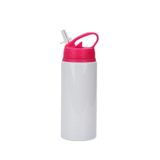 20 Oz Aluminum Sports Water Bottle With Straw
