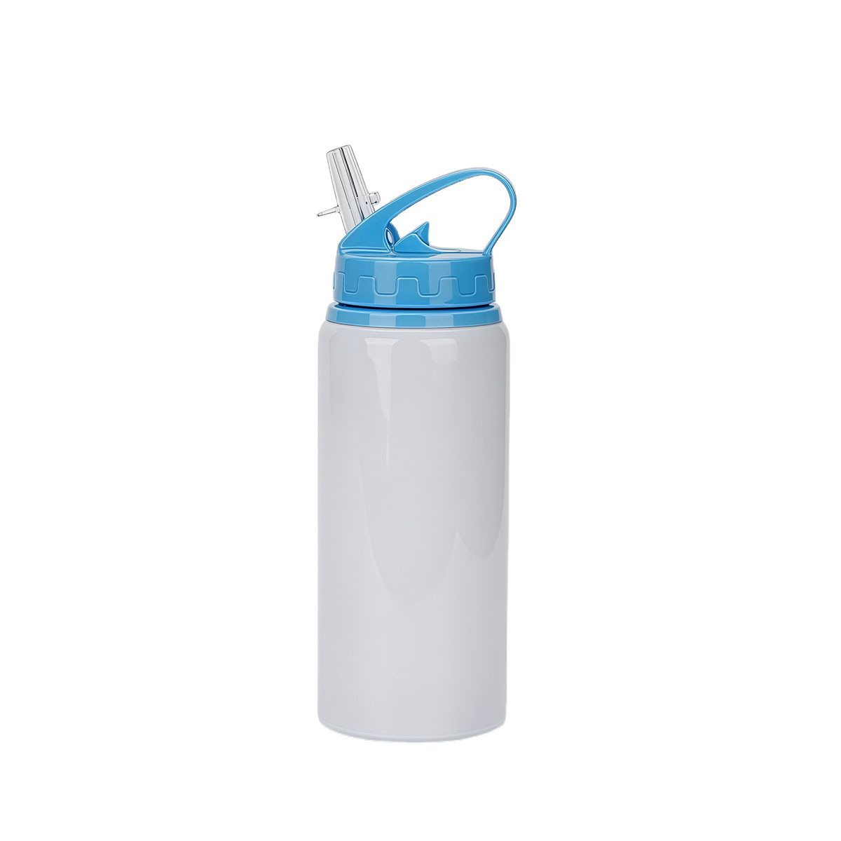 20 Oz Aluminum Sports Water Bottle With Straw