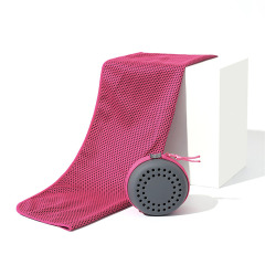 Cooling Towel with EVA Case
