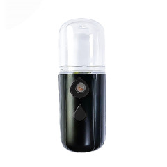 Mini Facial Humidifier