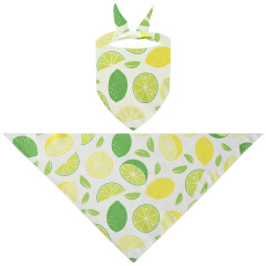 Triangle Pet Bandana