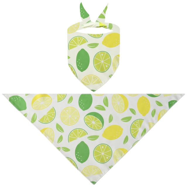 Triangle Pet Bandana