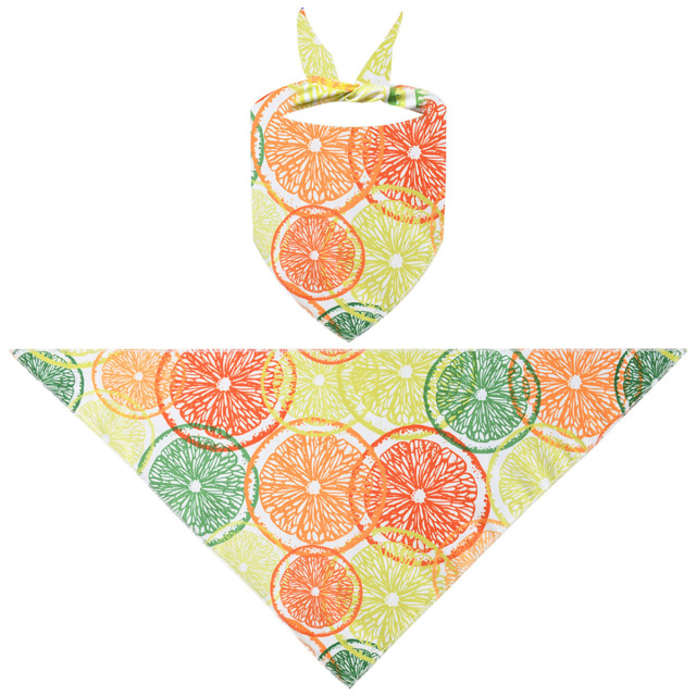 Triangle Pet Bandana
