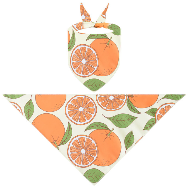 Triangle Pet Bandana