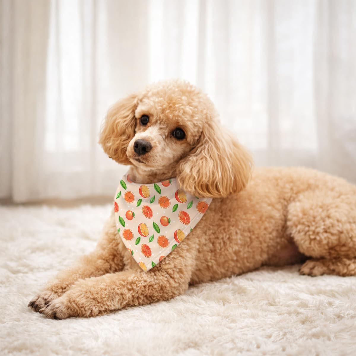 Triangle Pet Bandana