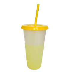Mood Changing Cup with Straw